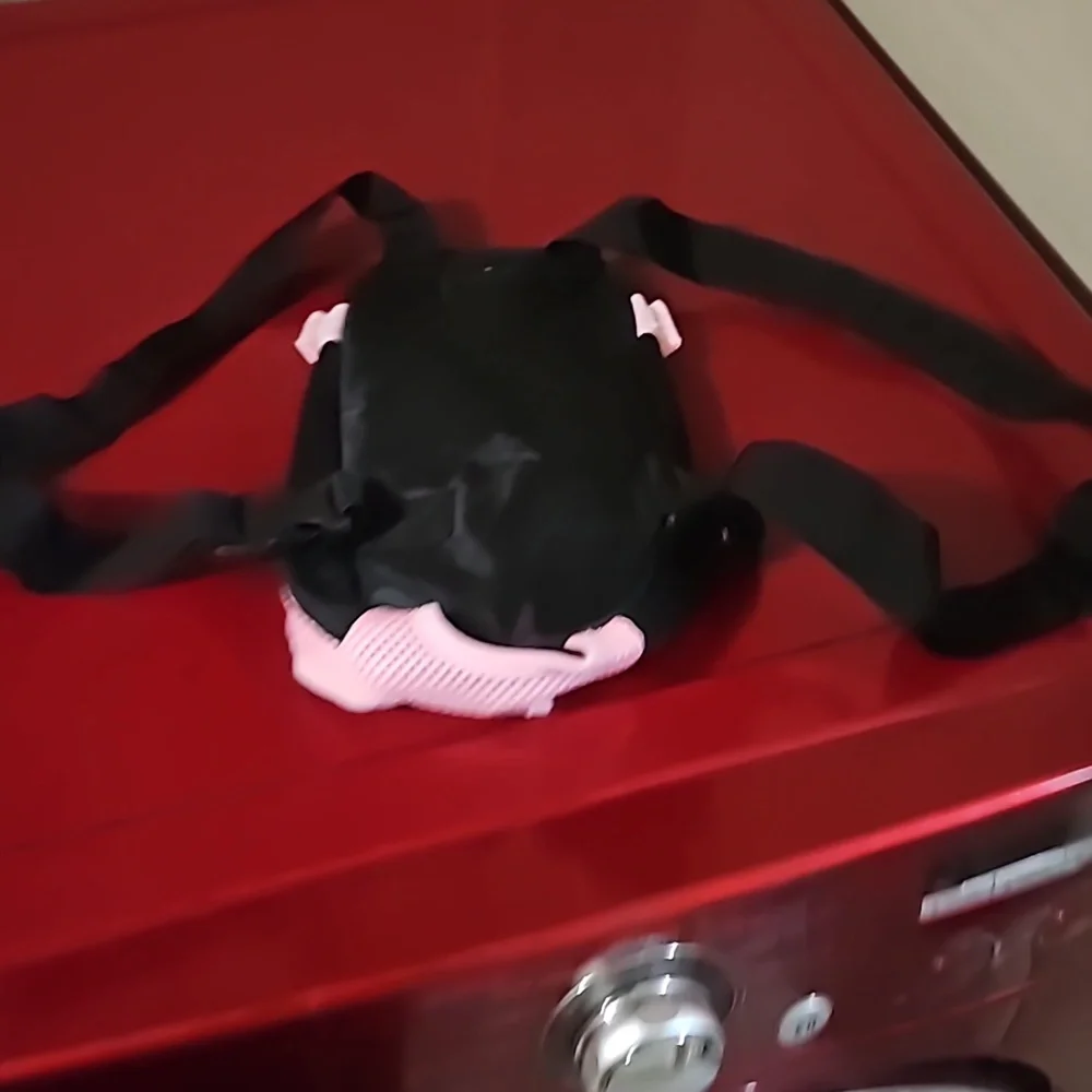 Dog holder